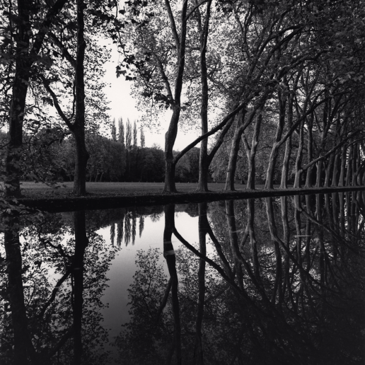 Allée d'Honneur, Courances, France. 1995