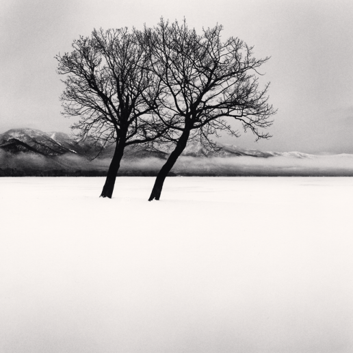 Dancing Trees, Kussharo Lake, Hokkaido, Japan. 2020